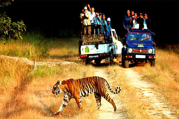 Jim Corbett Tour